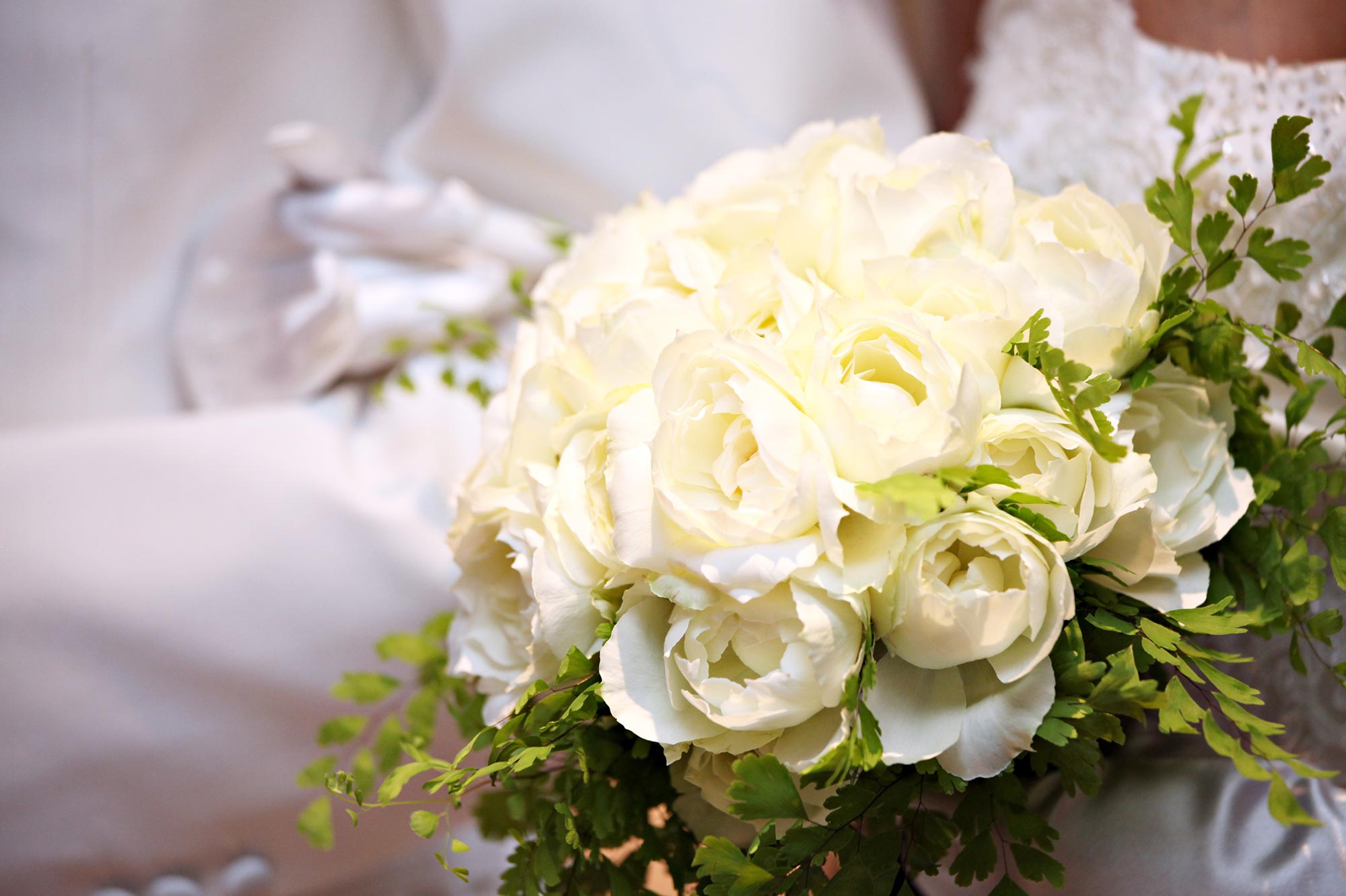 スペシャルキャンペーン XEX WEST WEDDING